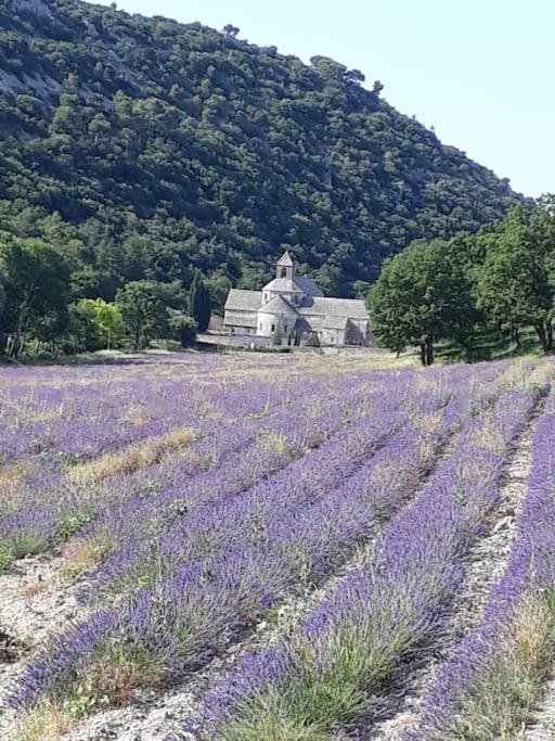 Villa Bastidon Plein Sud 3*, Promo fin d'été à Gordes. Extérieur photo